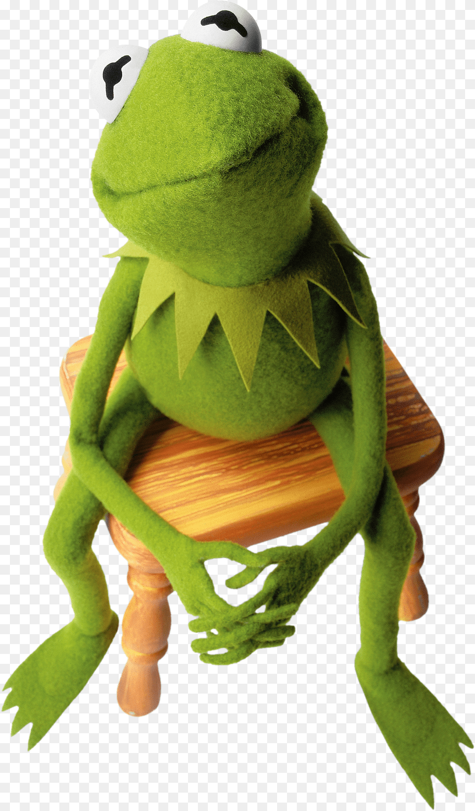 Kermit Stool Before You Leap A Frog39s Eye View, Animal, Lizard, Reptile, Iguana Png Image