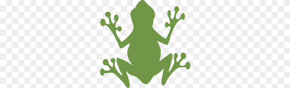 Kermit The Frog Clipart, Amphibian, Animal, Wildlife, Baby Free Png