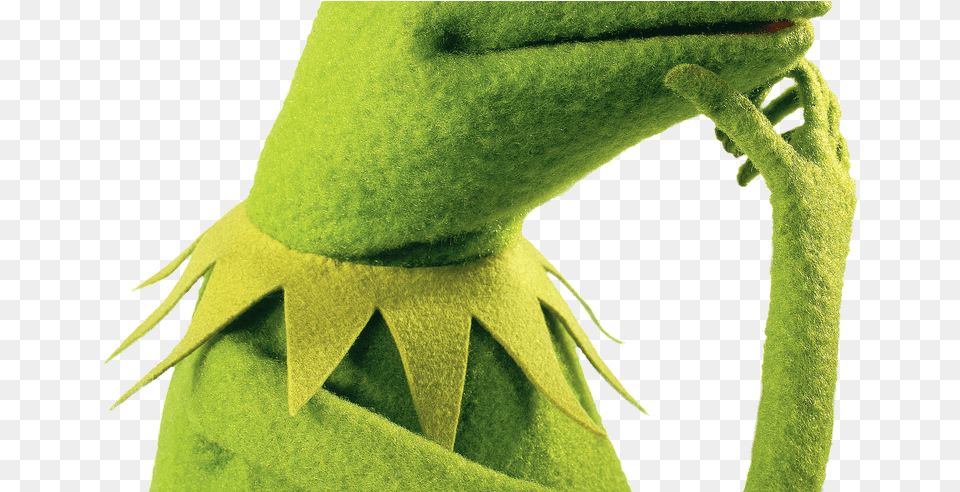 Kermit The Frog For Free Download On Mbtskoudsalg Kermit The Frog Hmmm, Adult, Female, Person, Woman Png