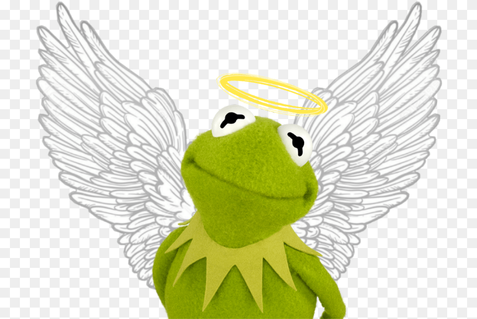 Kermit The Frog Kermit Thefrog Angel Wing Wings Kermit The Frog Meme, Green Png
