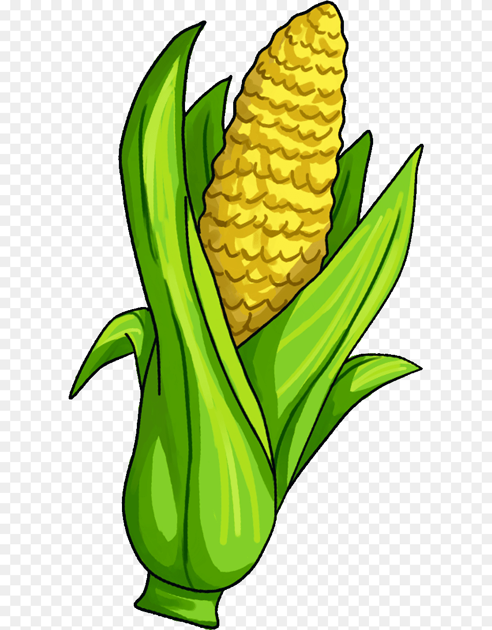 Kernel Clipart Canned Corn Transparent Background Corn Clipart, Food, Grain, Plant, Produce Free Png
