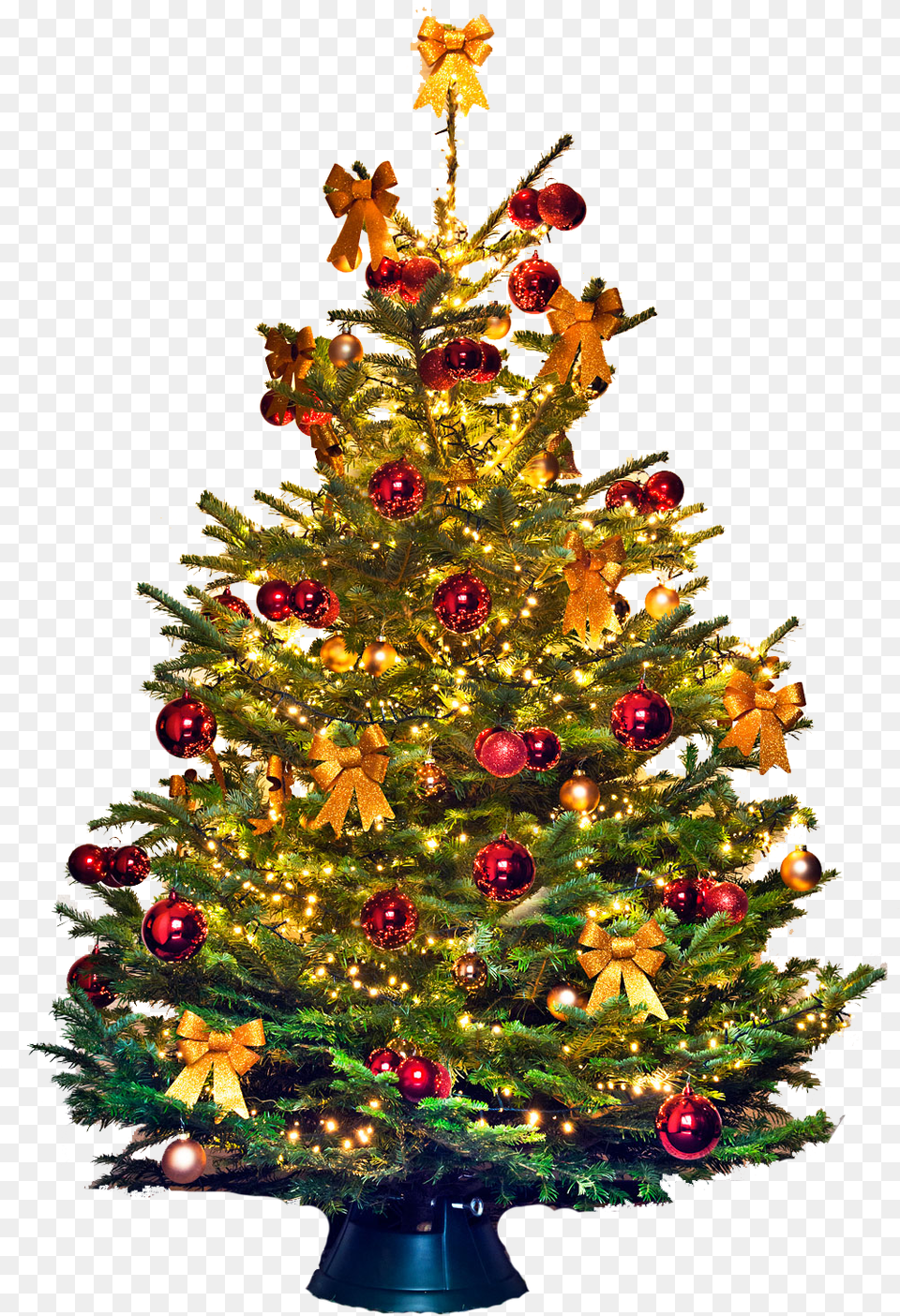 Kerstboom, Plant, Tree, Christmas, Christmas Decorations Png Image