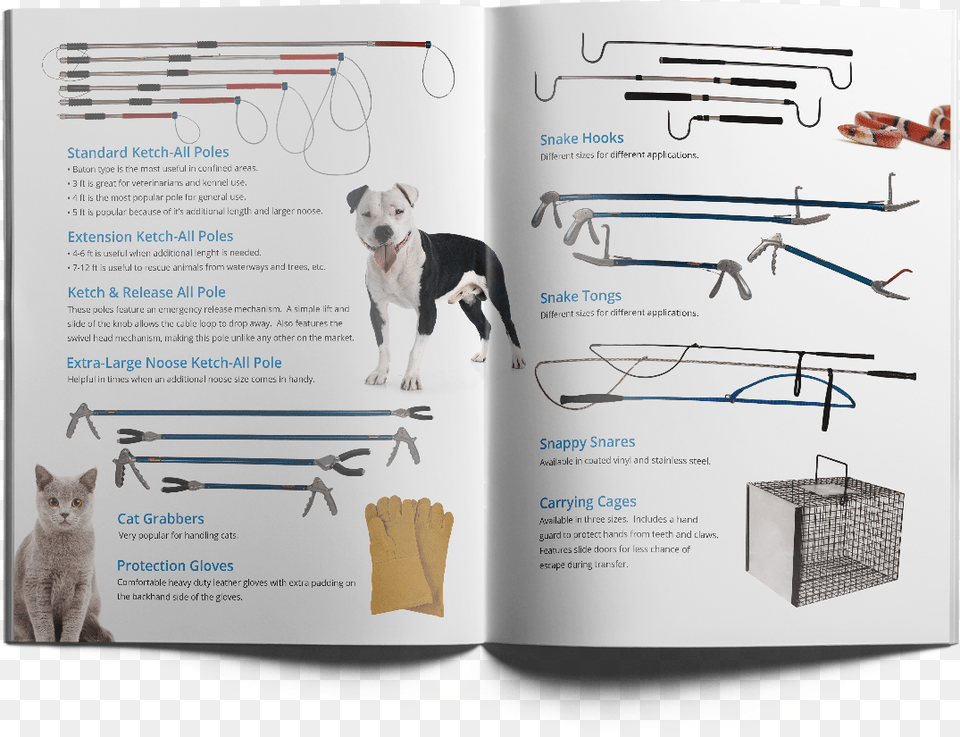 Ketch All Brochure Design San Luis Obispo Companion Dog, Animal, Canine, Mammal, Pet Free Png Download