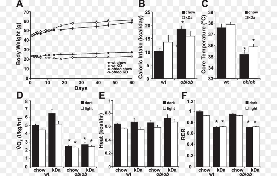 Ketogenic Diet Mice Weight, Road Free Transparent Png