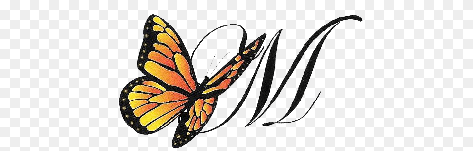 Kevin M Mason Funeral Home, Animal, Butterfly, Insect, Invertebrate Png