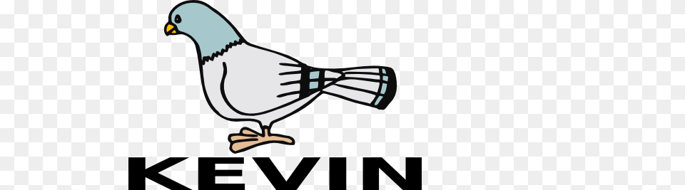 Kevin Pigeon Clip Art, Animal, Bird, Dove Png Image