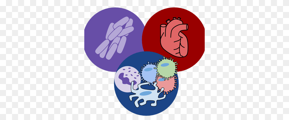 Kevin Rey, Body Part, Hand, Person Free Png Download