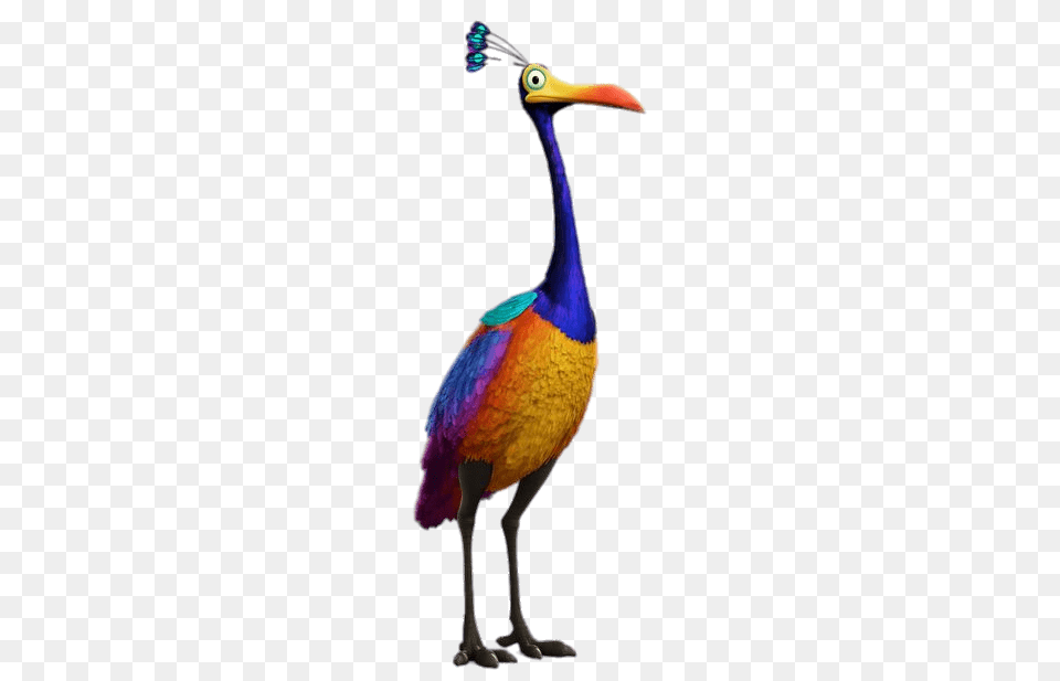 Kevin The Bird, Animal, Beak Free Png Download