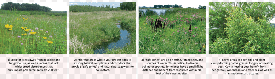 Key Considerations For Locating Pollinator Habitat Man Made Sources Of Water Free Transparent Png