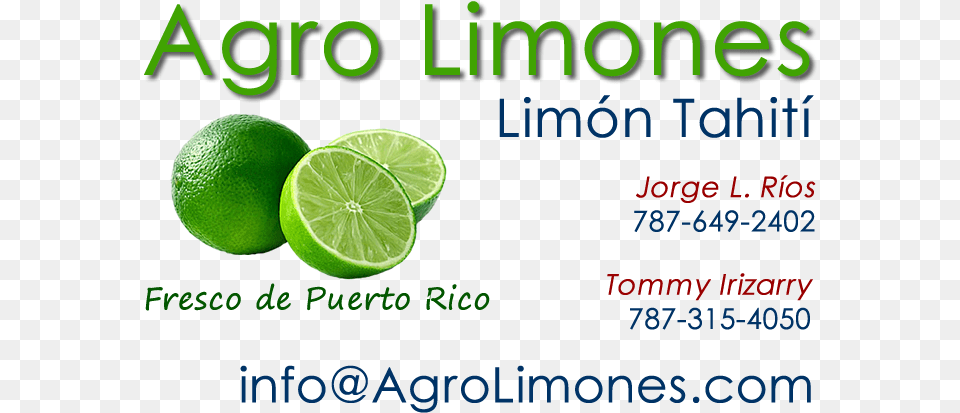 Key Lime, Citrus Fruit, Food, Fruit, Plant Free Png Download