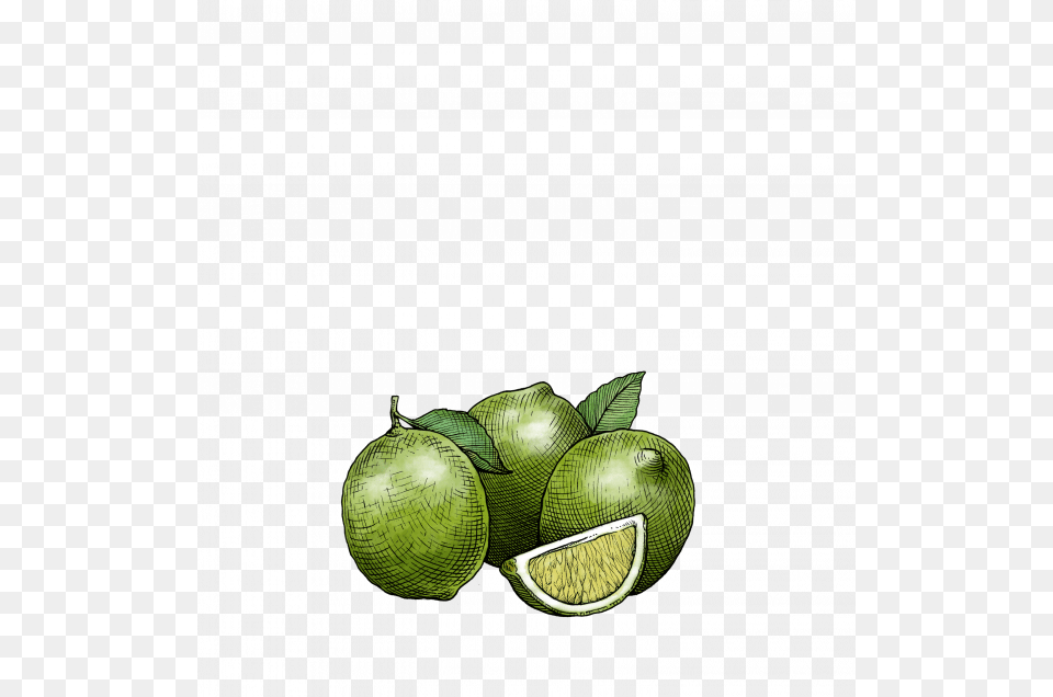 Key Lime White Balsamic Vinegar Key Lime, Citrus Fruit, Food, Fruit, Grapefruit Free Transparent Png