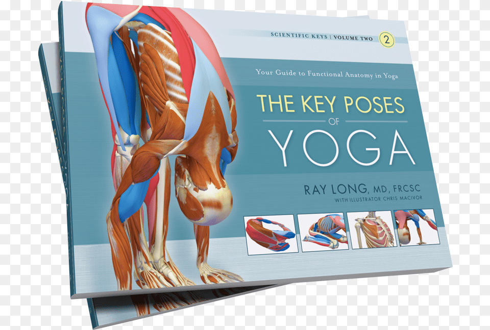 Key Muscles Of Yoga Book, Advertisement, Poster, Publication, Person Free Png
