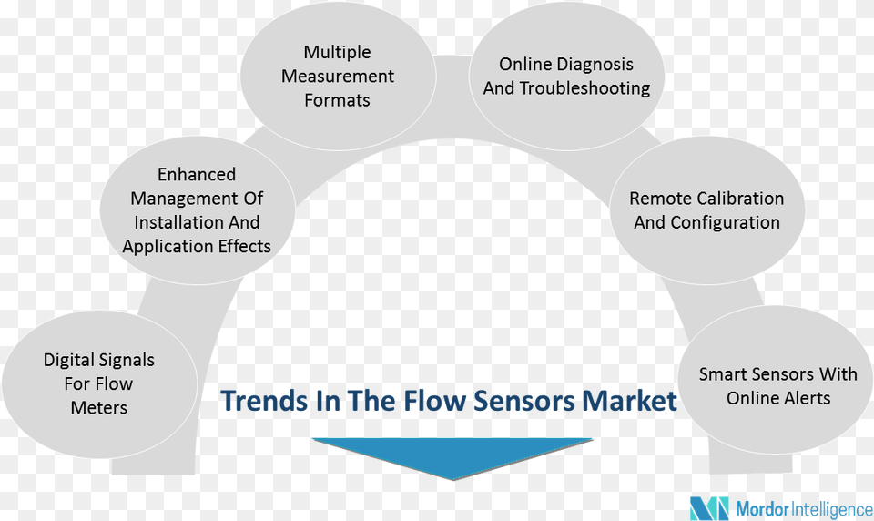 Key Players In The Flow Sensor Market Have Particularly Diagram, Arch, Architecture, Person, Head Free Png