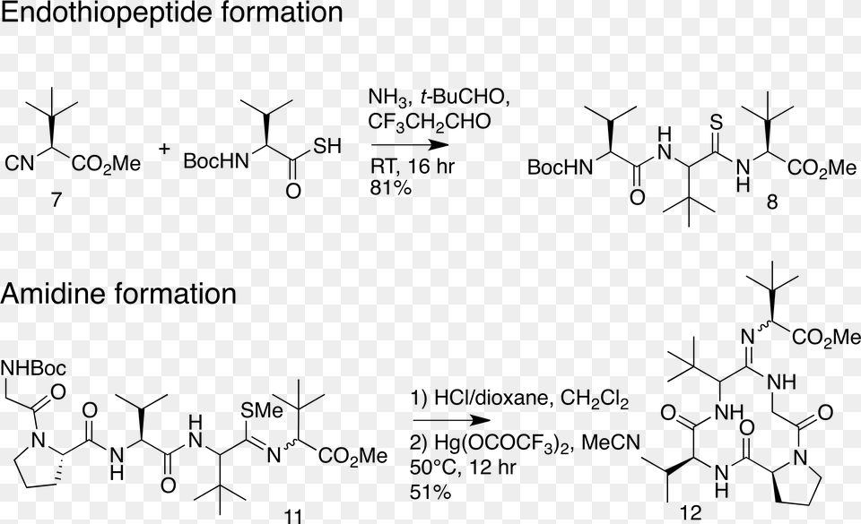 Key Steps In Alternative Macrocycle Synthesis Macrocycle Synthesis, Gray Free Png