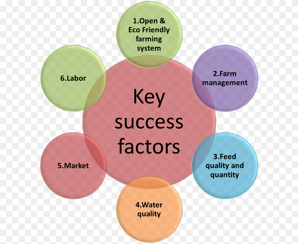 Key Success Factors, Diagram Free Png Download