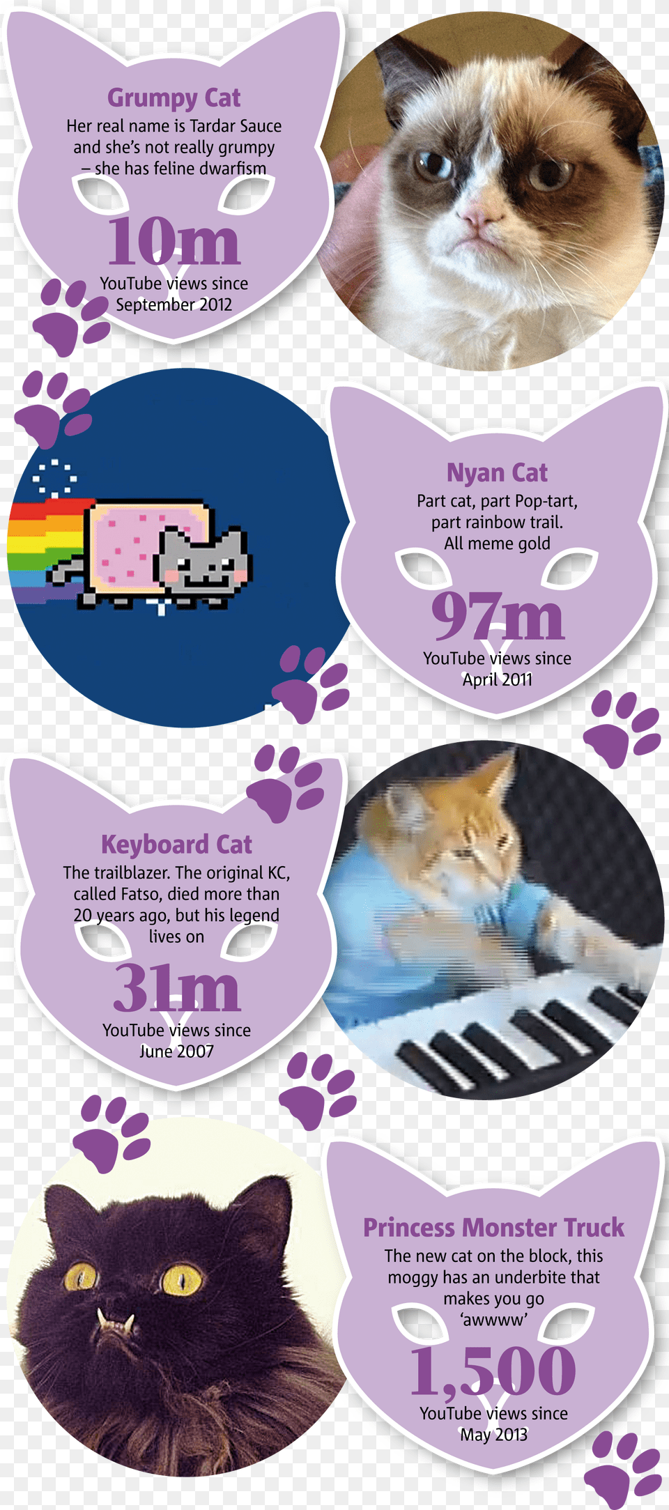 Keyboard Cat Meme Paw, Advertisement, Poster, Purple, Animal Free Png