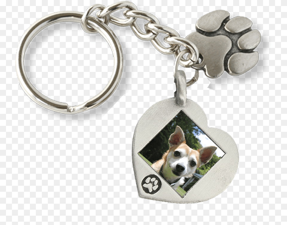 Keychain, Accessories, Bracelet, Jewelry, Animal Free Png