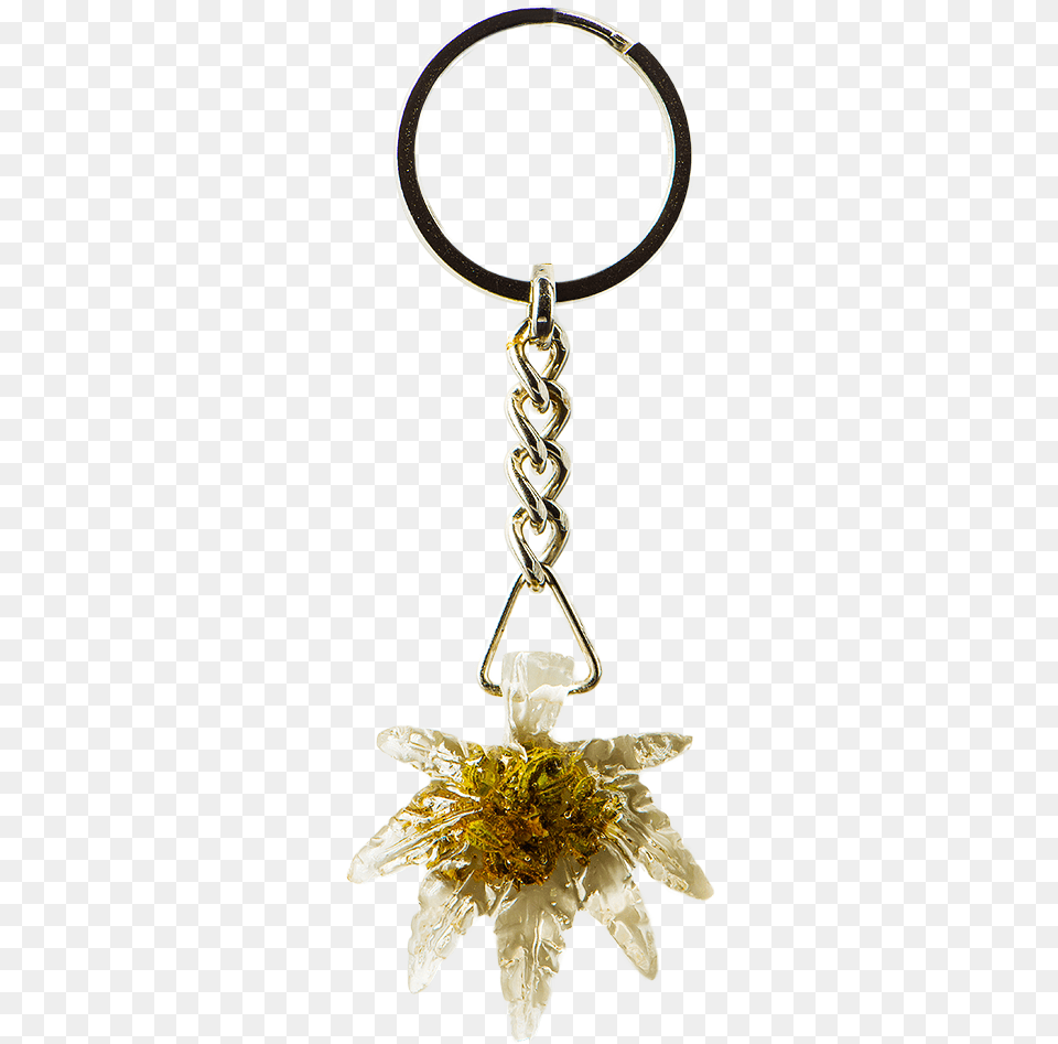 Keychain, Accessories, Earring, Jewelry, Necklace Free Png Download