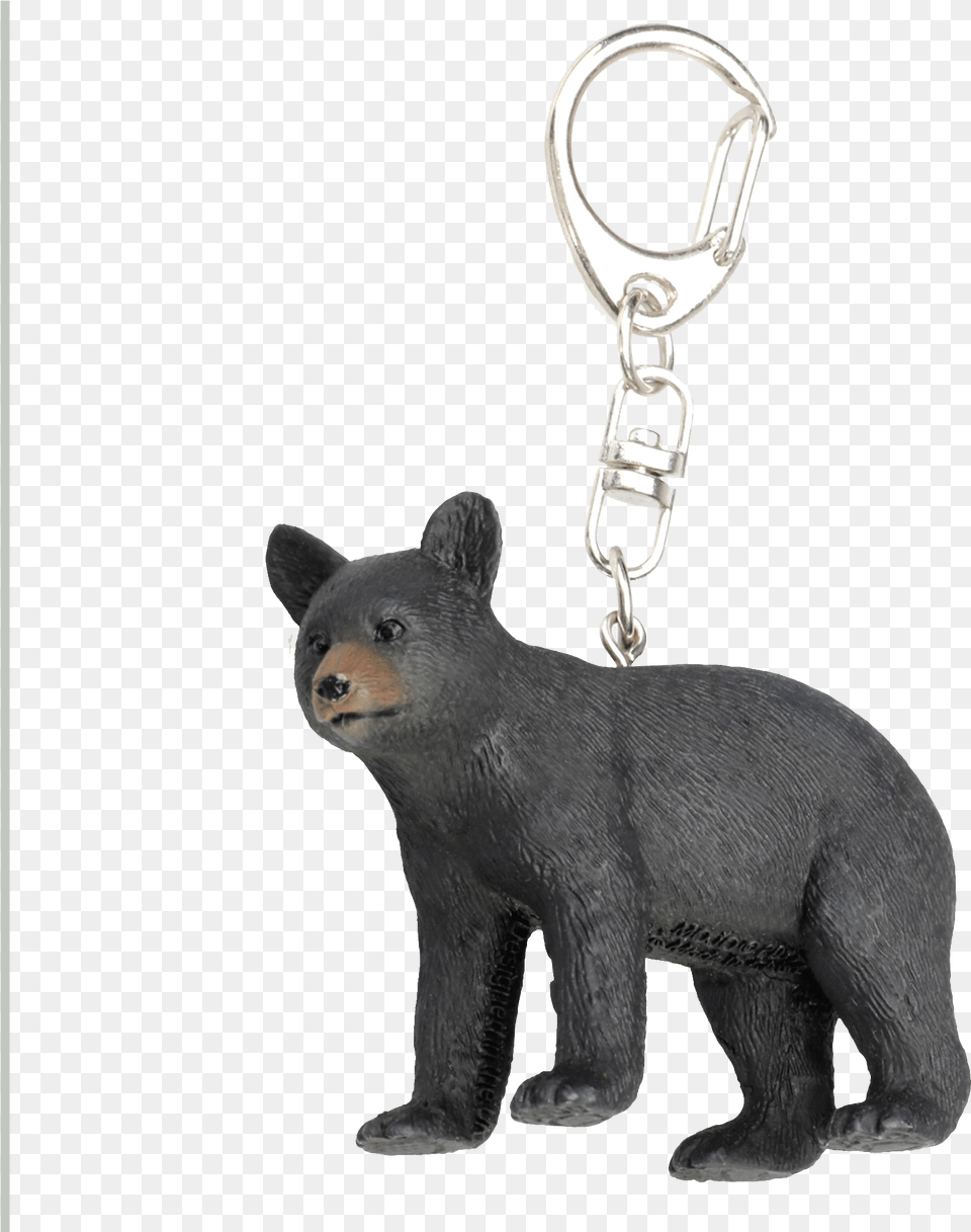 Keychains Amp Accessories American Black Bear, Animal, Mammal, Wildlife Free Transparent Png