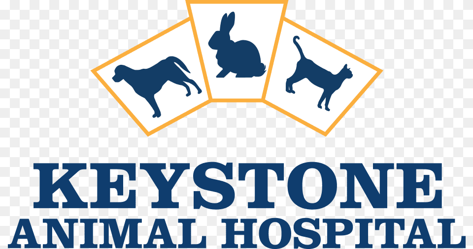 Keystone Animal Hospital Hoshizaki, Mammal, Pet, Canine, Dog Free Png