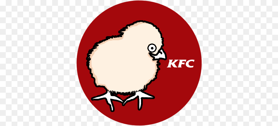 Kfc, Baby, Person, Animal, Bird Png Image