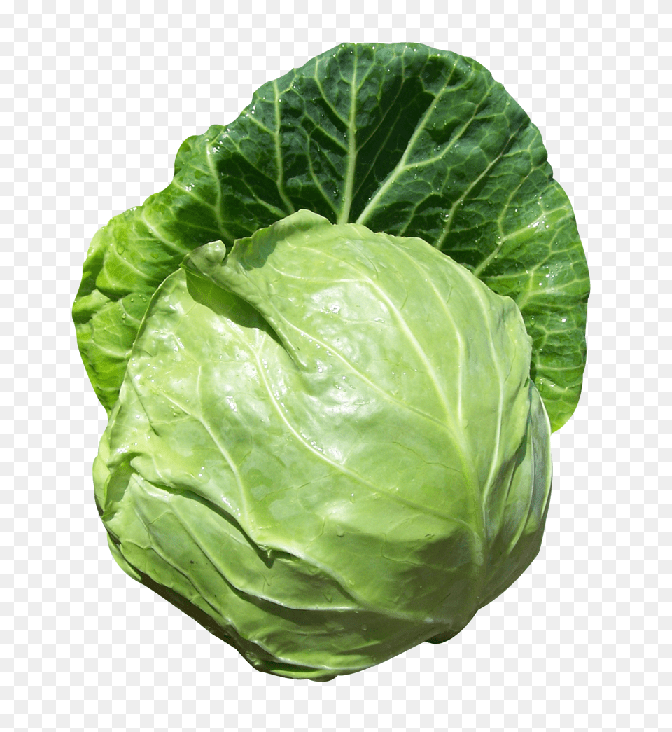 Kg Cardboard Box Collard Greens, Food, Leafy Green Vegetable, Plant, Produce Free Transparent Png