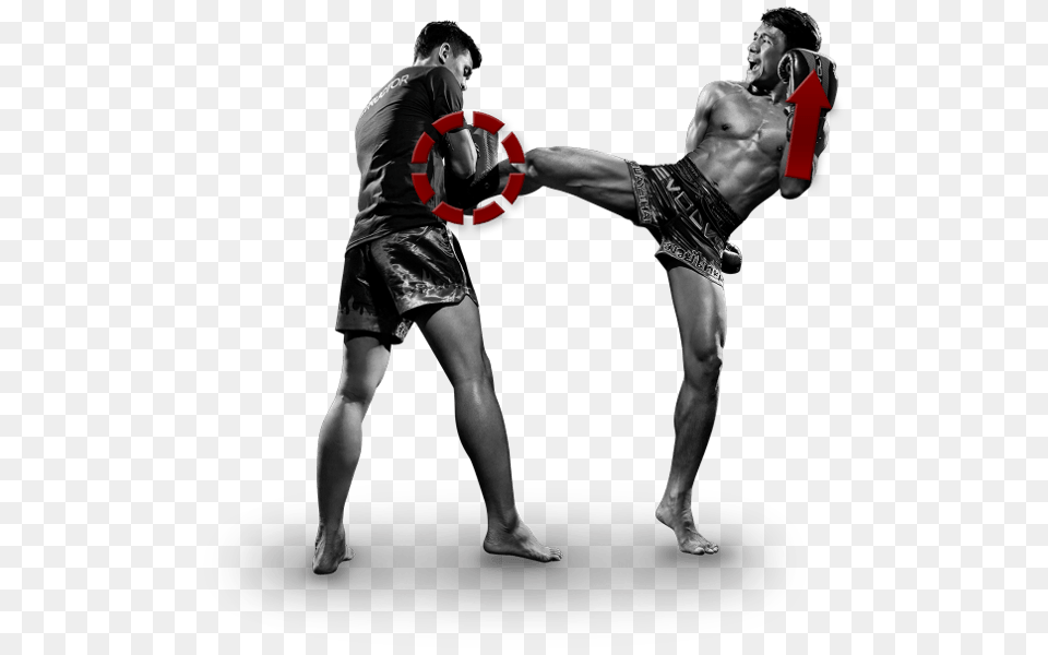 Kickboxing, Adult, Male, Man, Person Free Transparent Png