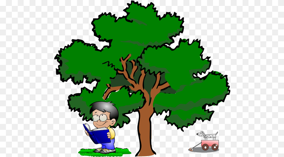 Kid Reading Live Oak Tree Clipart, Plant, Green, Vegetation, Person Free Transparent Png