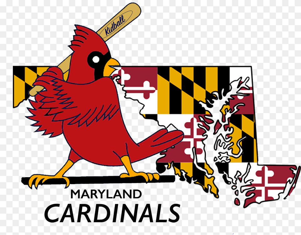 Kidball Youth Sports Programs Montgomery County Md Maryland Cardinals Baseball, Animal, Bird, Cardinal Free Png