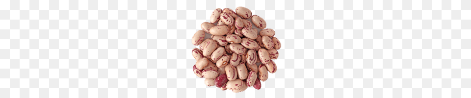 Kidney Beans, Bean, Produce, Plant, Food Png Image