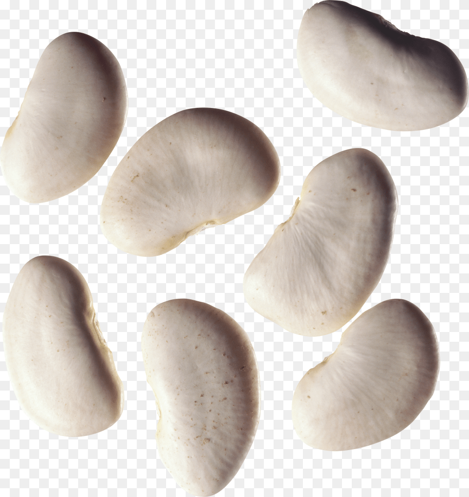 Kidney Beans Png Image