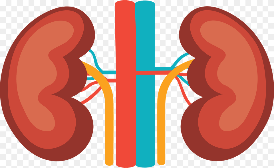 Kidney Clipart, Dynamite, Weapon Free Png