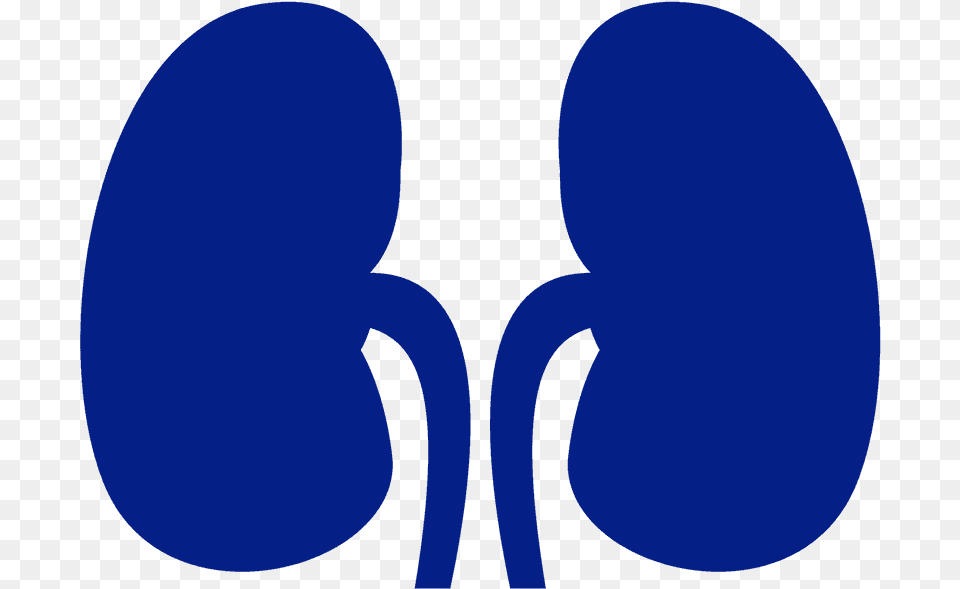 Kidney Dot, Clothing, Flip-flop, Footwear, Astronomy Png Image