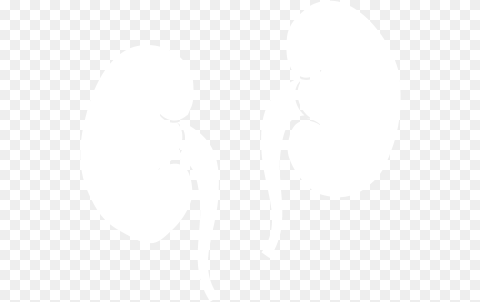 Kidney Dot, Stencil, Silhouette, Adult, Female Png