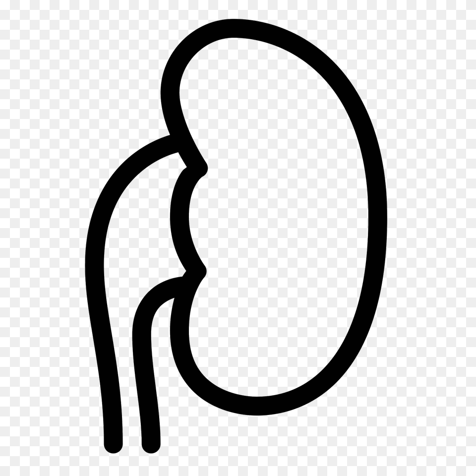 Kidney Icon, Gray Png Image