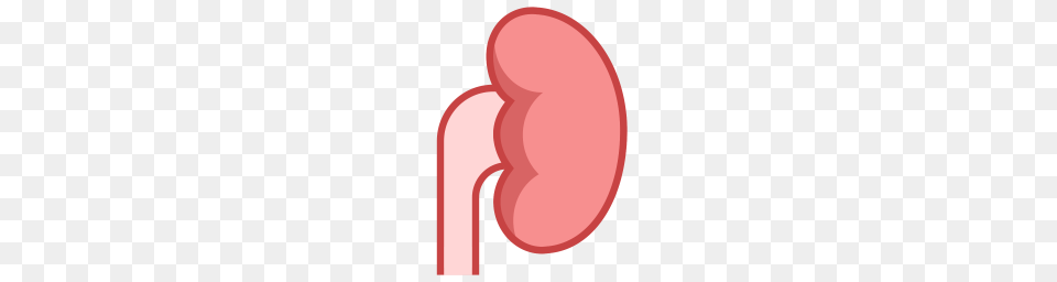 Kidney Icon Download Formats, Astronomy, Moon, Nature, Night Png Image