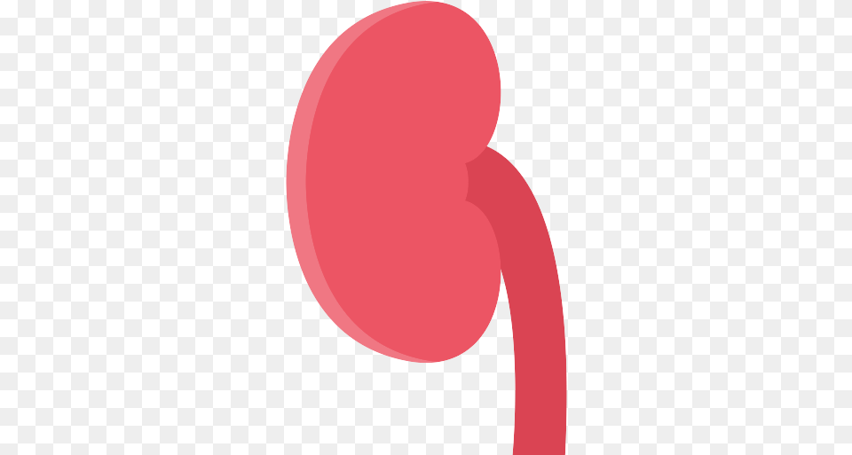 Kidney Icon Vertical, Balloon, Astronomy, Moon, Nature Png