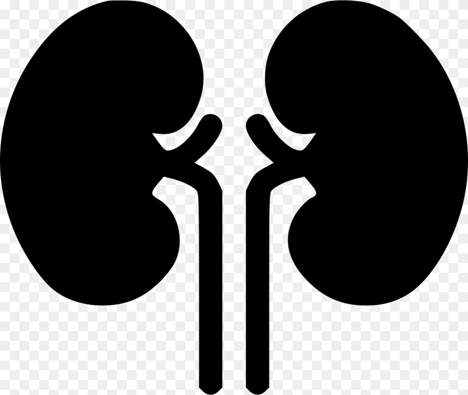 Kidney Organ Health Medical Health Renal Kidneys, Silhouette, Stencil Png Image