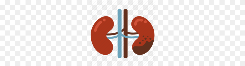 Kidney Stone Clipart Free Png Download