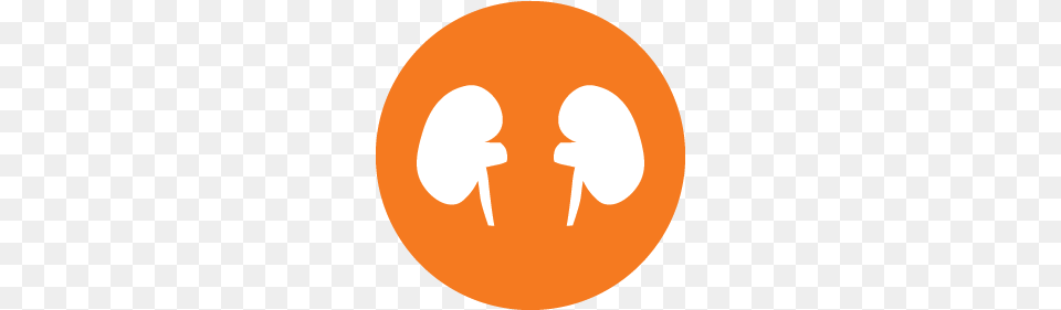 Kidney Transplant Center Uf Health University Of Florida Health, Logo Free Png