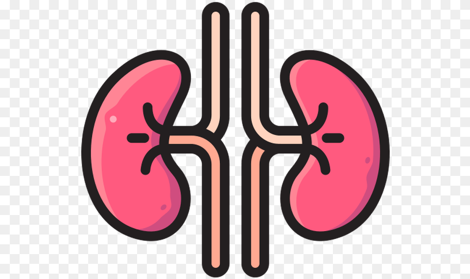 Kidney Vector Icons Designed Language, Weapon Free Png Download