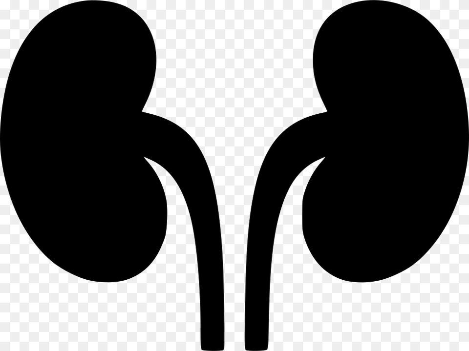 Kidneys Icon, Silhouette, Stencil, Electronics, Person Free Png Download