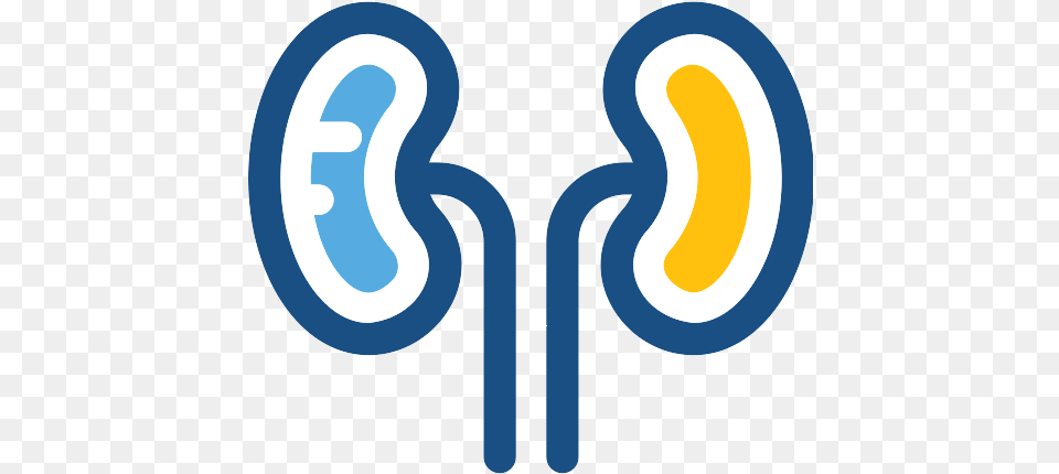 Kidneys Kidney Icon Vertical, Light, Logo, Neon, Text Free Png