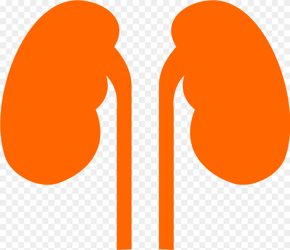 Kidneys Noun Cc Orange Kidney Purple, Cutlery, Astronomy, Logo, Moon Png Image