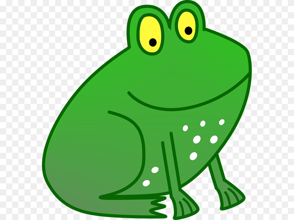 Kids Frog, Amphibian, Animal, Green, Wildlife Free Png Download