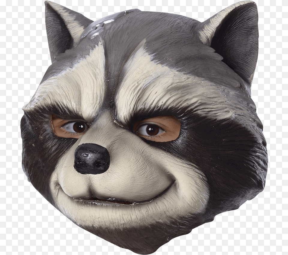 Kids Rocket Raccoon Mask Rocket Racoon Costume Adult, Female, Person, Woman, Snout Png Image