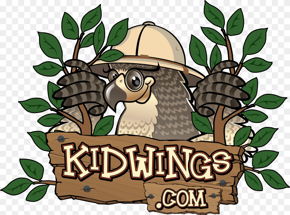 Kidwings, Jungle, Nature, Outdoors, Plant Png