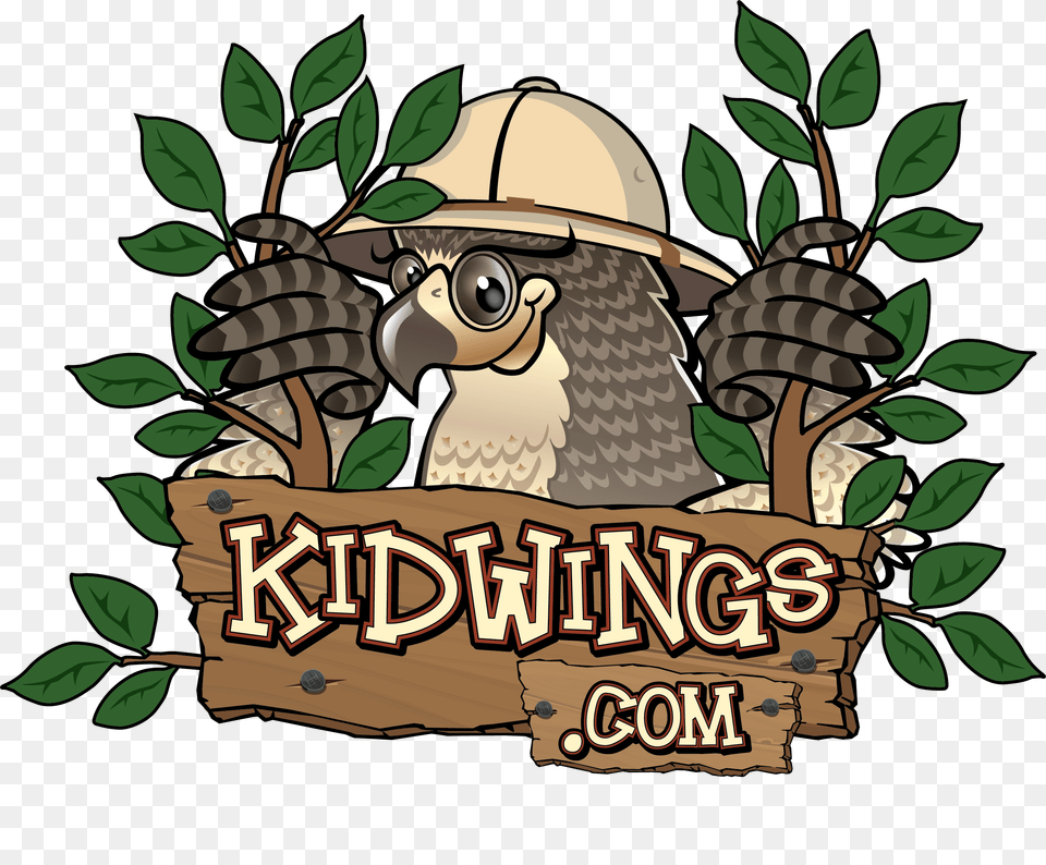 Kidwings Owl Pellet Dissection And Owl Information For Kids, Leaf, Plant, Vegetation, Jungle Free Png Download
