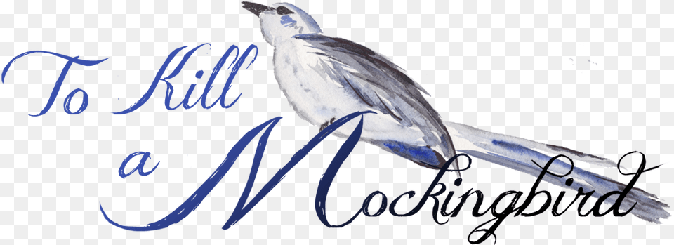 Kill A Mockingbird, Animal, Bird, Jay, Text Png