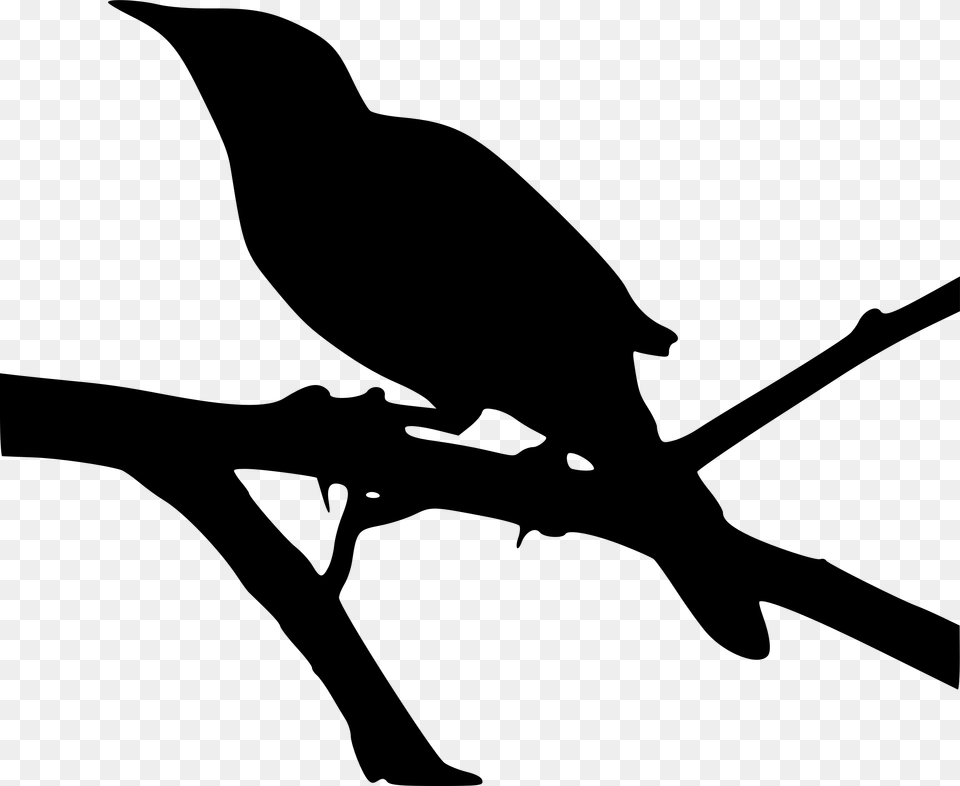 Kill A Mockingbird Icon, Gray Png
